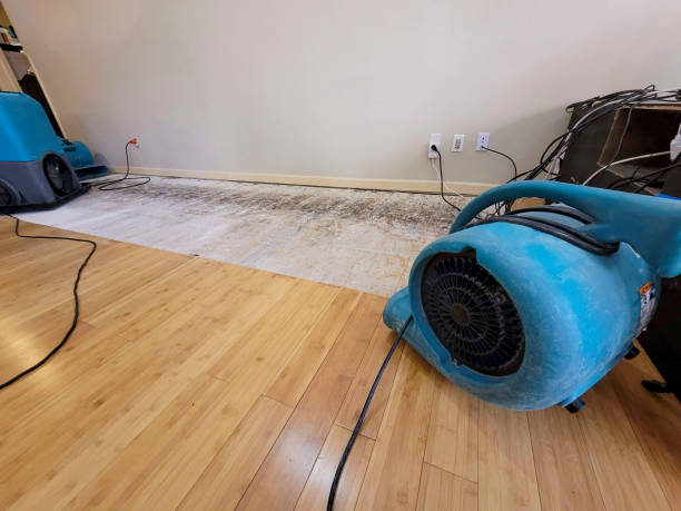 Reliable Basement Flood Cleanup contractor in San Fernando, CA by Hirex Water Damage