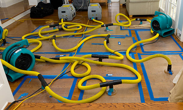 Professional Basement Flood Cleanup technician working in San Fernando, CA